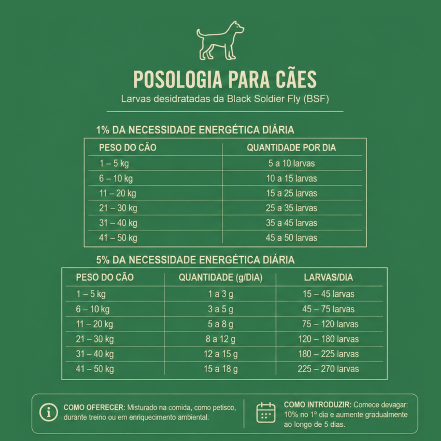 Combo 3 Larvas BSF Petisco Natural | 40% de Proteína e hipoalergênica| BugLovers