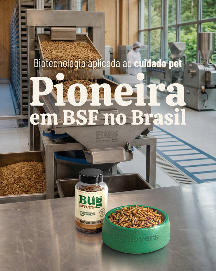 Pet cliente da BugLovers
