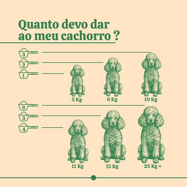 BugDog Senior para Cães Idosos | Suplemento Natural para Energia e Vitalidade 145g